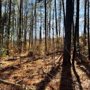 Photo #13 of Hwy 9, Wallace, SC