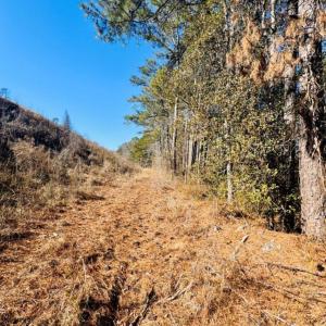 Photo #10 of Hwy 9, Wallace, SC
