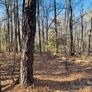 Photo #14 of Hwy 9, Wallace, SC