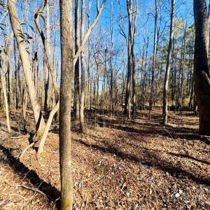 Photo #18 of Hwy 9, Wallace, SC