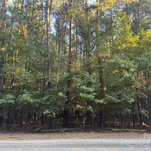 Photo #18 of 110 Serenity Creek, Waxhaw, NC