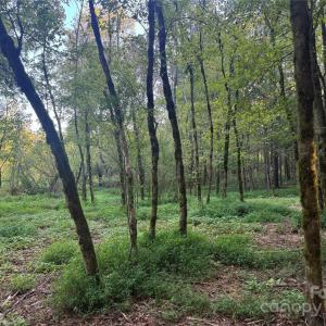 Photo #9 of 110 Serenity Creek, Waxhaw, NC