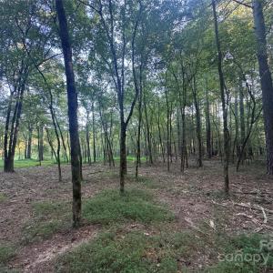 Photo #14 of 110 Serenity Creek, Waxhaw, NC