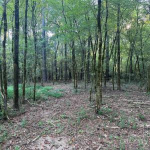 Photo #10 of 110 Serenity Creek, Waxhaw, NC