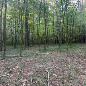 Photo #11 of 110 Serenity Creek, Waxhaw, NC