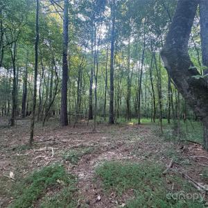 Photo #15 of 110 Serenity Creek, Waxhaw, NC