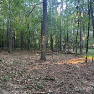 Photo #12 of 110 Serenity Creek, Waxhaw, NC