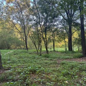 Photo #2 of 110 Serenity Creek, Waxhaw, NC