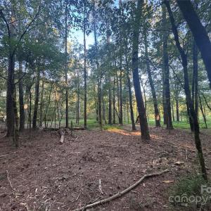 Photo #16 of 110 Serenity Creek, Waxhaw, NC