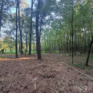 Photo #13 of 110 Serenity Creek, Waxhaw, NC