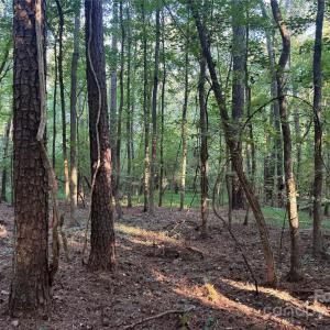 Photo #12 of 106 Serenity Creek, Waxhaw, NC