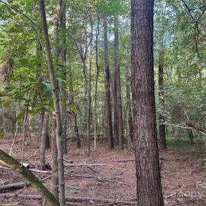 Photo #9 of 106 Serenity Creek, Waxhaw, NC