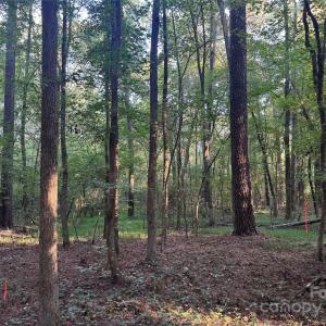 Photo #14 of 106 Serenity Creek, Waxhaw, NC