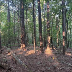 Photo #13 of 106 Serenity Creek, Waxhaw, NC