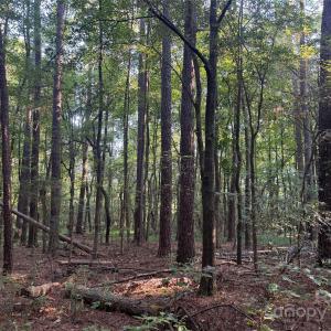 Photo #16 of 106 Serenity Creek, Waxhaw, NC