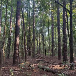 Photo #15 of 106 Serenity Creek, Waxhaw, NC