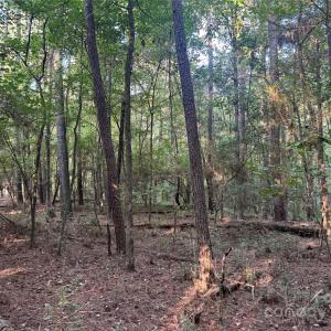 Photo #11 of 106 Serenity Creek, Waxhaw, NC