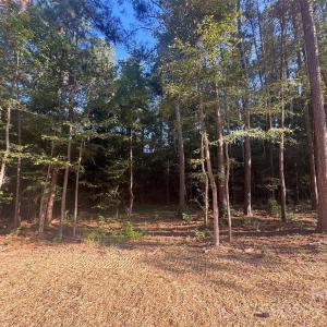 Photo #7 of 106 Serenity Creek, Waxhaw, NC