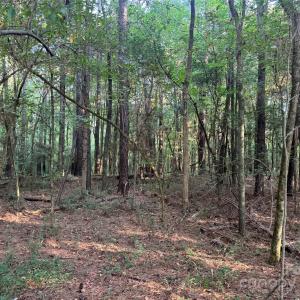 Photo #17 of 106 Serenity Creek, Waxhaw, NC