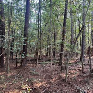 Photo #10 of 106 Serenity Creek, Waxhaw, NC