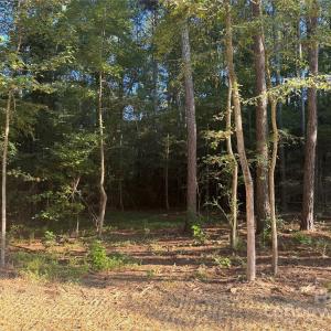 Photo #8 of 106 Serenity Creek, Waxhaw, NC