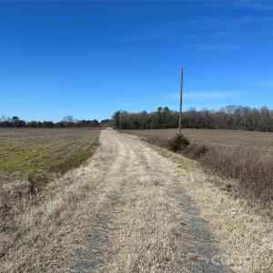 Photo #33 of 62 Ac Bridgewater, Rock Hill, SC