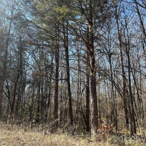 Photo #26 of 62 Ac Bridgewater, Rock Hill, SC