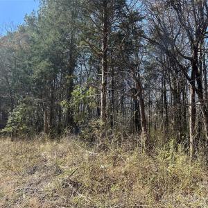 Photo #23 of 62 Ac Bridgewater, Rock Hill, SC