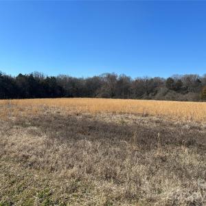 Photo #6 of 62 Ac Bridgewater, Rock Hill, SC