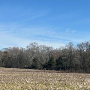 Photo #41 of 62 Ac Bridgewater, Rock Hill, SC