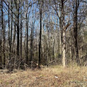 Photo #24 of 62 Ac Bridgewater, Rock Hill, SC