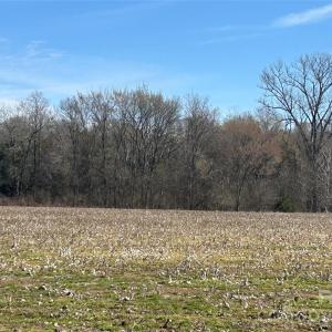 Photo #43 of 62 Ac Bridgewater, Rock Hill, SC