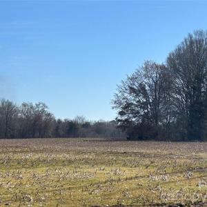 Photo #44 of 62 Ac Bridgewater, Rock Hill, SC