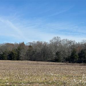 Photo #42 of 62 Ac Bridgewater, Rock Hill, SC