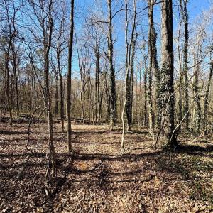 Photo #3 of 1417 Ellis Griffin, Wingate, NC
