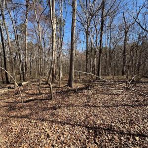 Photo #13 of 1417 Ellis Griffin, Wingate, NC