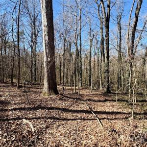 Photo #2 of 1417 Ellis Griffin, Wingate, NC