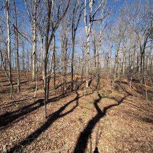 Photo #12 of 1417 Ellis Griffin, Wingate, NC