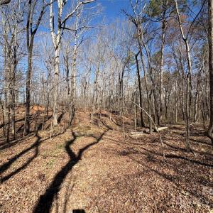 Photo #9 of 1417 Ellis Griffin, Wingate, NC