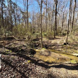 Photo #4 of 1417 Ellis Griffin, Wingate, NC