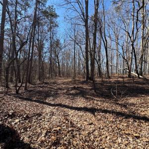 Photo #7 of 1417 Ellis Griffin, Wingate, NC