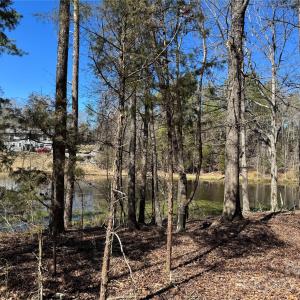 Photo #3 of 1905 Bechtler, Edgemoor, SC