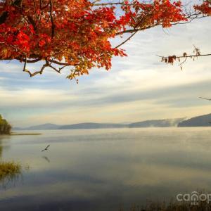 Photo #12 of 110 Watch Harbor, Badin Lake, NC
