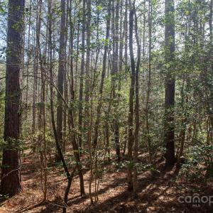 Photo #2 of 4155 Persimmon, Lancaster, SC