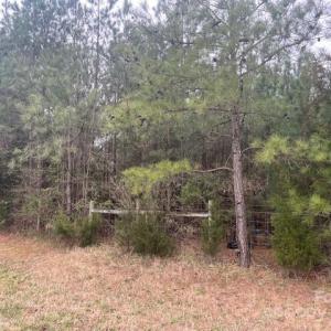 Photo #2 of 2700 Pageland, Monroe, NC