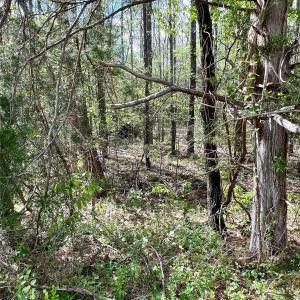 Photo #7 of 03 Pineview Court, Lancaster, SC