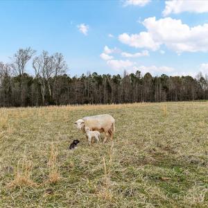 Photo #10 of 6399 Alexander, Concord, NC