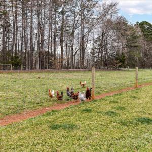 Photo #8 of 6399 Alexander, Concord, NC
