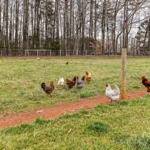 Photo #7 of 6399 Alexander, Concord, NC