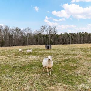 Photo #9 of 6399 Alexander, Concord, NC